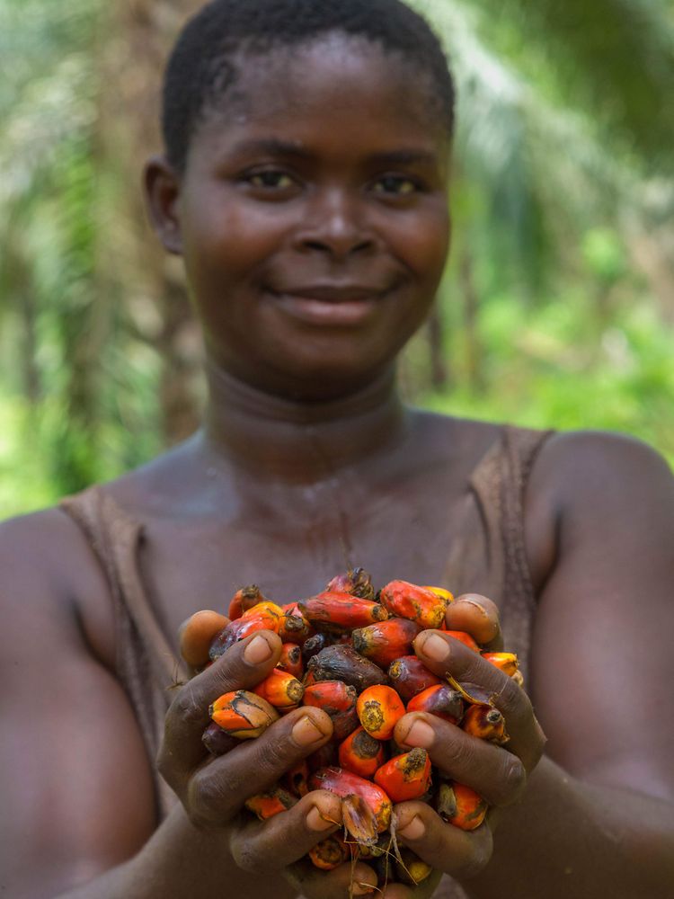 Women with palm oil fruits in her hands